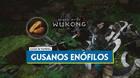 TODOS los Gusanos Enófilos Despiertos en Black Myth Wukong y cómo conseguirlos