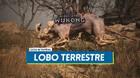 Lobo terrestre en Black Myth Wukong: Cómo derrotarlo, localización y recompensas