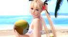 Anunciado Dead or Alive Xtreme: Venus Vacation para navegadores web