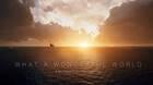 Microsoft Flight Simulator wonderful world
