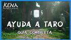 Ayuda a Taro al 100% en Kena: Bridge of spirits