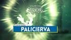 Palicierva en Silksong: Localización, cómo derrotarla y recompensas