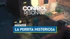 Todas las ubicaciones de La perrita misteriosa en Control Resonant
