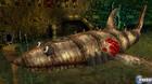 Banjo-Kazooie para Xbox Live Arcade concreta su lanzamiento