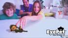 Primeras imágenes de EyePet