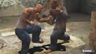 Anunciado Def Jam Fight for NY: The Takeover para PSP