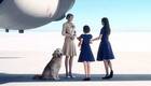 El perro de Ace Combat 7, un homenaje a la mascota de un desarrollador