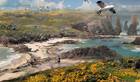 Wild: El Exclusivo de PS4 se muestra en nuevas ilustraciones
