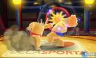 Deca Sports 3DS incluirá sumo