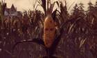 El curioso juego de misterio y humor Maize llegará a PC el 1 de diciembre