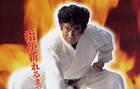 Segata Sanshiro será uno de los personajes jugables de Project X Zone 2