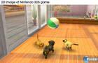 Nuevas imágenes de Nintendogs + Cats