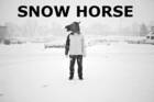 Snow Horse, juego que combina caballos y snowboard, llega a principios de 2016