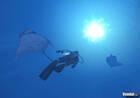 Primera imagen de Forever Blue