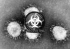 plague inc no es un simulador de coronavirus