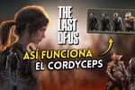Todos los detalles del cordyceps de The Last of Us