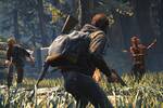 The Last of Us Online