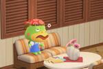 Animal Crossing New Horizons: La actualizaci�n 3.0 trae m�s novedades de las anunciadas