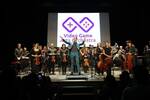 Video Game Arts Orchestra