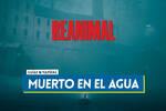 Muerto en el agua en REANIMAL al 100 %: Walkthrough y coleccionables
