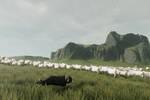 The Free Shepherd, una aventura de exploración protagonizada por un perro pastor, llegará a PS5 y PC en 2027