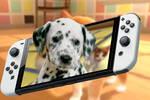 Nintendo registra la marca Nintendogs de Nintendo DS