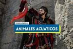 Todos los animales acuáticos en Crimson Desert y localización