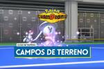 Campos de terreno en Pok�mon Champions, explicaci�n y efectos en combate