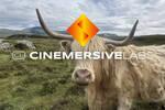 Sony compra Cinemersive Labs: usar�n la IA para alcanzar 'nuevos niveles de fidelidad visual' en sus videojuegos.