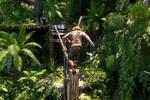 M�s que un simple remake: esto es todo lo que Ubisoft ha ampliado en Assassin's Creed Black Flag.