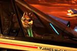 Star Fox