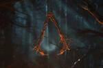 Una filtración de Assassin's Creed Hexe revela sus ediciones, precio, posible fecha y detalles del gameplay