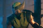 Wolverine D23