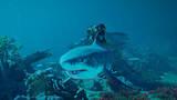 Crimson Desert muestra en profundidad su primer DLC, con el mar y la exploraci�n submarina como protagonistas