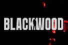 An�lisis BLACKWOOD: el juego que quiere hacernos sentir como John Wick 