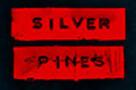 An�lisis de Silver Pines: el hijo de Silent Hill y Resident Evil 