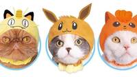 Estos disfraces de Pokémon harán a nuestro gato aún más adorable