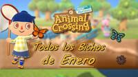 Animal Crossing New Horizons: todos los Bichos disponibles en enero 2021