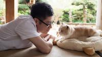 El juego de m�viles Neko Atsume tendr� pel�cula