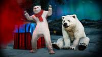 Un NPC de un oso polar mata a un jugador profesional en un torneo de PUBG Battlegrounds