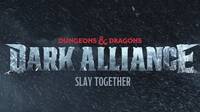 Dungeons and Dragons: Dark Alliance tendrá modo para un jugador