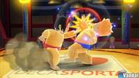Deca Sports 3DS incluir� sumo