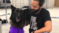 Realizan captura de movimientos con un perro para The Last of Us 2