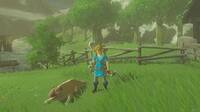 Alimentar a todos los perros es el objetivo de estos speedrunners de Zelda: BotW