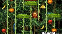 Nuevas imágenes de Donkey Konga