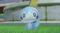 Sobble es el inicial favorito de la Generación 8 de Pokémon Espada y Escudo