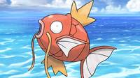 Tarda casi seis aos en completar Pokmon Rub con Magikarp