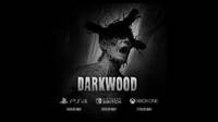 Darkwood llega a consolas a mediados de mayo