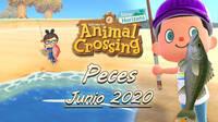 Animal Crossing New Horizons: todos los Peces que llegan y se van en junio 2020