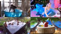 Twitch: La categoría de piscinas y jacuzzis se llena de nutrias, pájaros y parodias